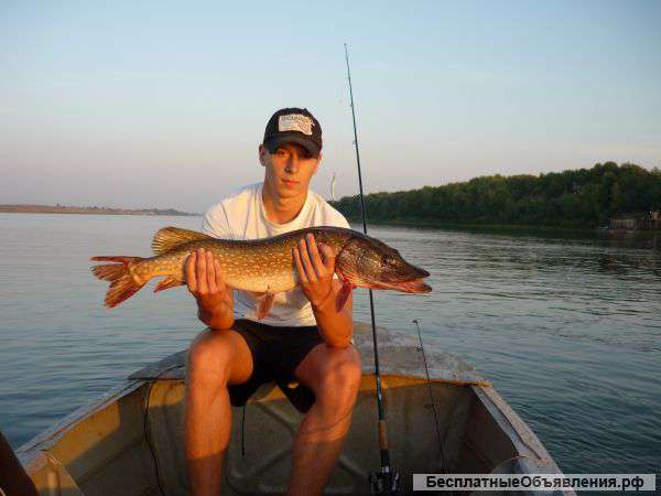 Рыбалка в дельте Волги