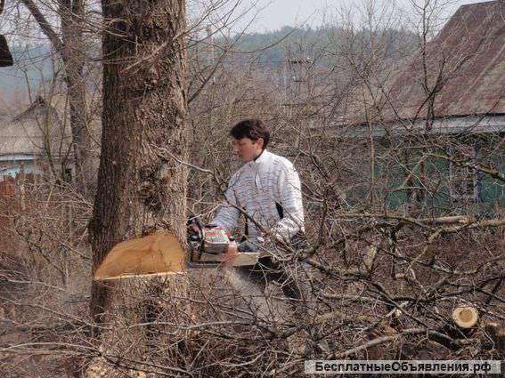 Спил деревев