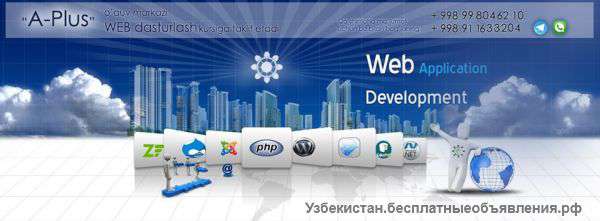 Программа обучения Создание сайтов в Интернет: веб-программист