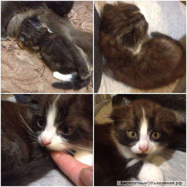 Очень нужен дом малышу Чудесный малыш ждет Вас