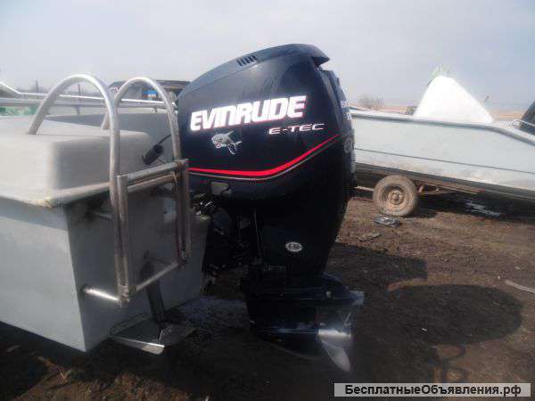 Evinrude 250 e-tec