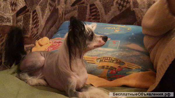 Вязка.кабель