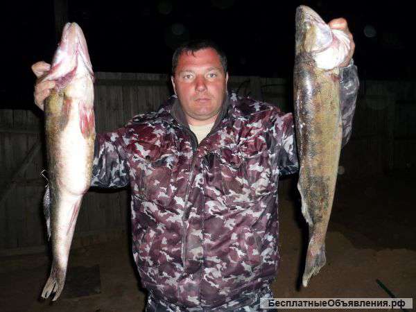 Рыбалка Ахтуба