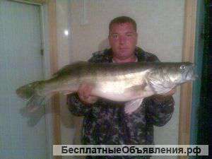 Рыбалка Ахтуба