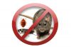 Уничтожение насекомых и грызунов. Гарантия. Препараты.