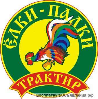 Официант в Трактир"Ёлки-Палки"