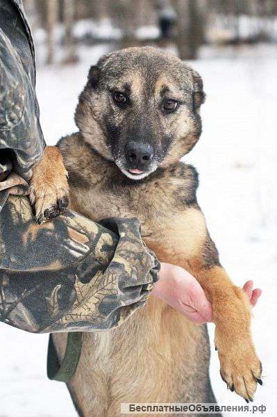 Малыш Фунтик в дар