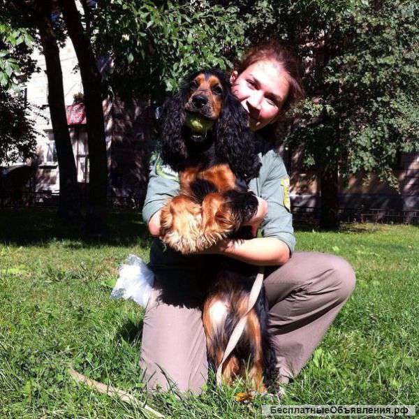 Курсы инструктора кинолога при Федераци Военного Собаководства