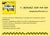 Перевозка животных, дрессировка собак