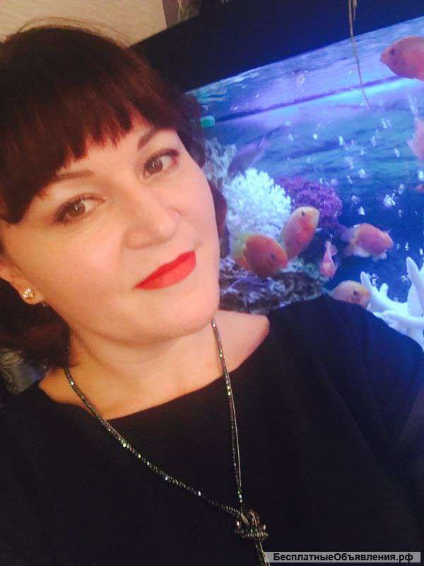 Бухучет быстро и просто (уровень главбуха)