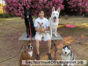 Семинар