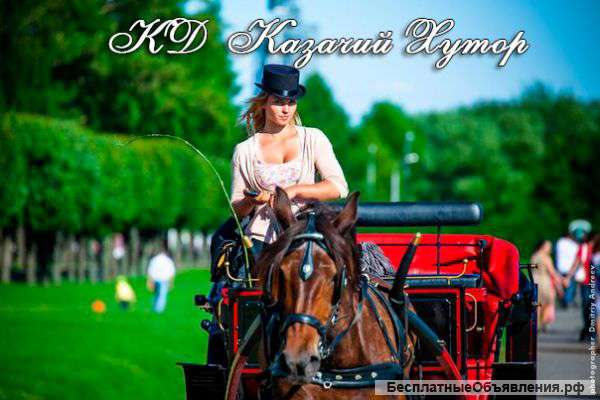 Конный спорт. КД "Казачий Хутор"