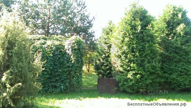 Сдаю дачу у реки на лето 2024 по Минскому шоссе