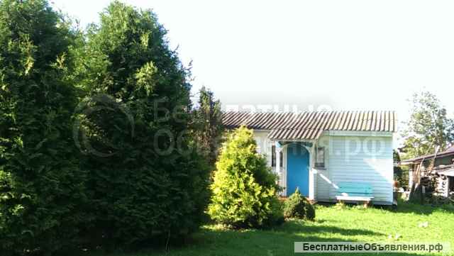 Сдаю дачу у реки на лето 2024 по Минскому шоссе