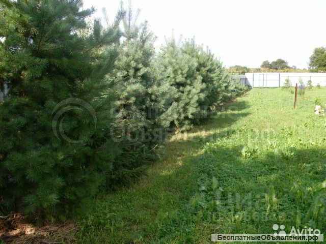 Сдаю дачу у реки на лето 2024 по Минскому шоссе