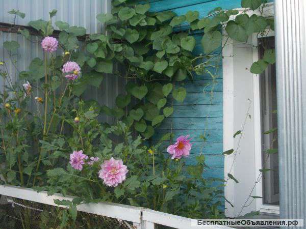 Земельный участок