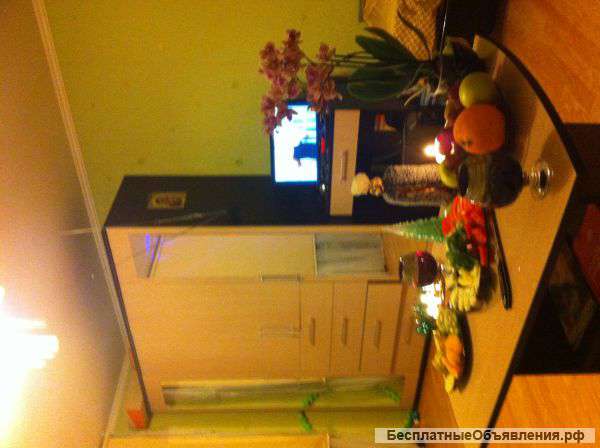 Сдам квартиру для отдыха