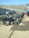 Gоиск новых и контрактных автозапчастей по Владивостоку и Приморскому краю