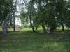 Участок 10 сот. (ИЖС)