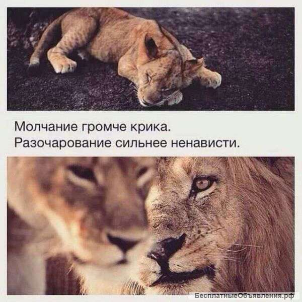 Ищу сотрудника