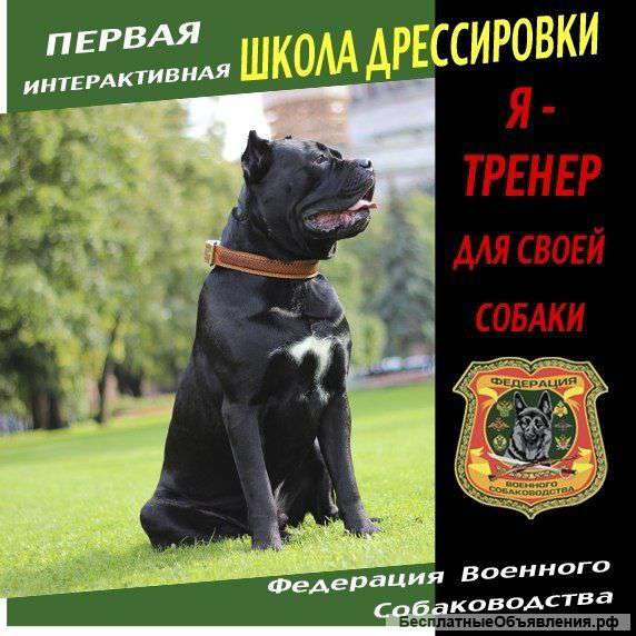 Я-тренер своей собаки