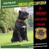Я-тренер своей собаки