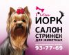 Требуется грумер