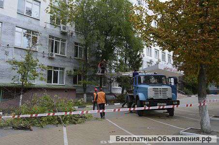 Спил деревьев, обрезка веток, кронирование