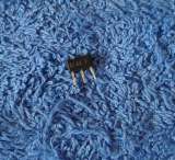 Транзисторы цифровые DTA (DTA KSR 2SA UN A) (Список DTA2) Pre-Biased-PNP оригинальные ДЕМОНТАЖ