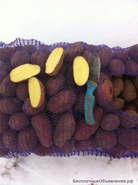 Картофель оптом