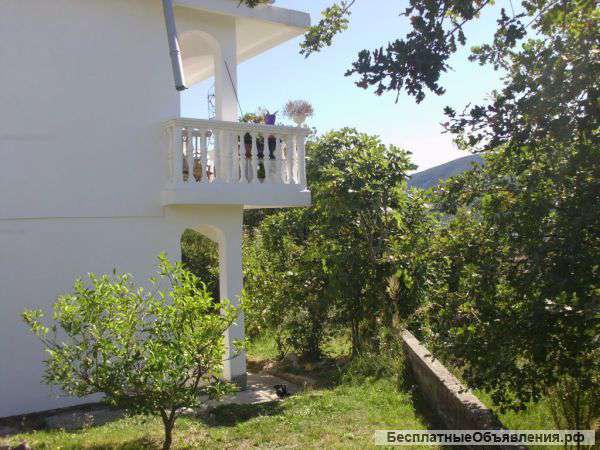 Меблированный дом с садом в Черногории (побережье Адриатики)