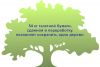 Вывоз макулатуры