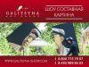 Танцующий художник- составные картины в Москве
