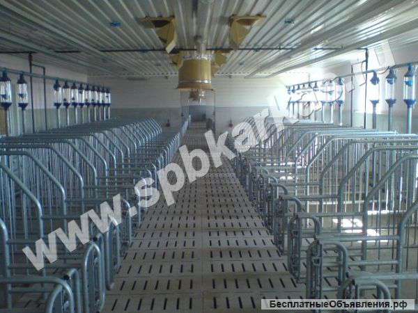 Станок опороса, осеменения, ожидания, хрячник