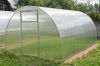 Теплицы оцинкованные или грунтованные