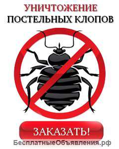 Уничтожение клопов