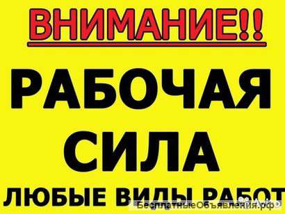 Надежные подсобники и разнорабочие