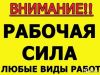 Надежные подсобники и разнорабочие