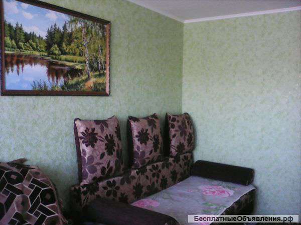 1 комнатная на ул.Гудованцева 50а