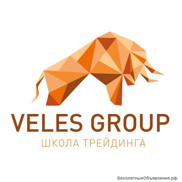 Школа трейдинга VelesGroup