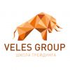 Школа трейдинга VelesGroup