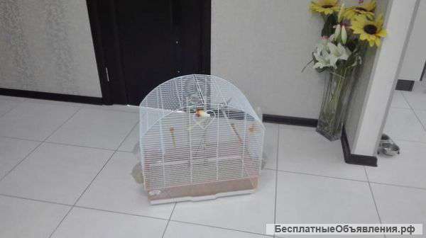 Супер КЛЕТКА для попугайки