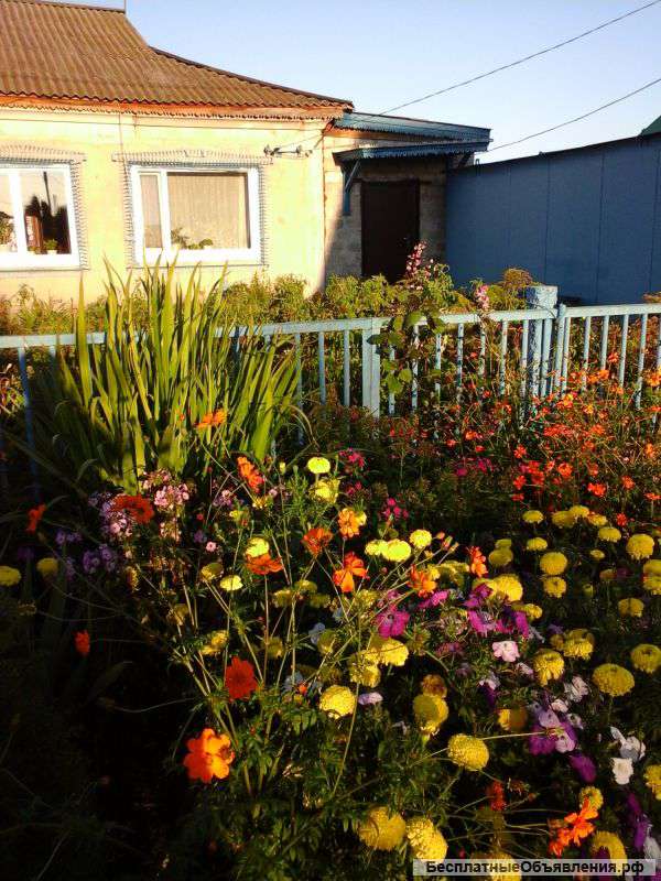 Дом в Луговом