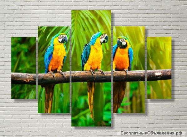 Модульная картина "Попугаи"