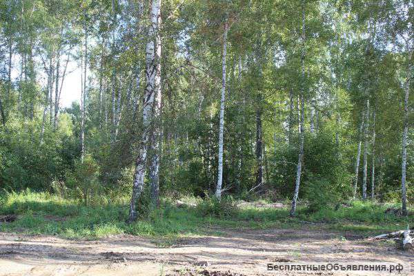 Земельный участок под ИЖС в Кольцово