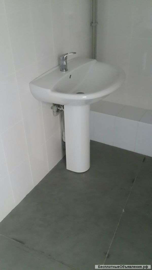 Раковина-тюльпан