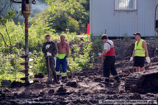 Услуги одиноким дамам