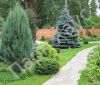 Хвойные, лиственные, плодовые деревья и кустарники, цветы