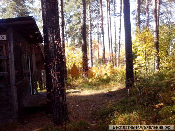 Бибиха дача участок