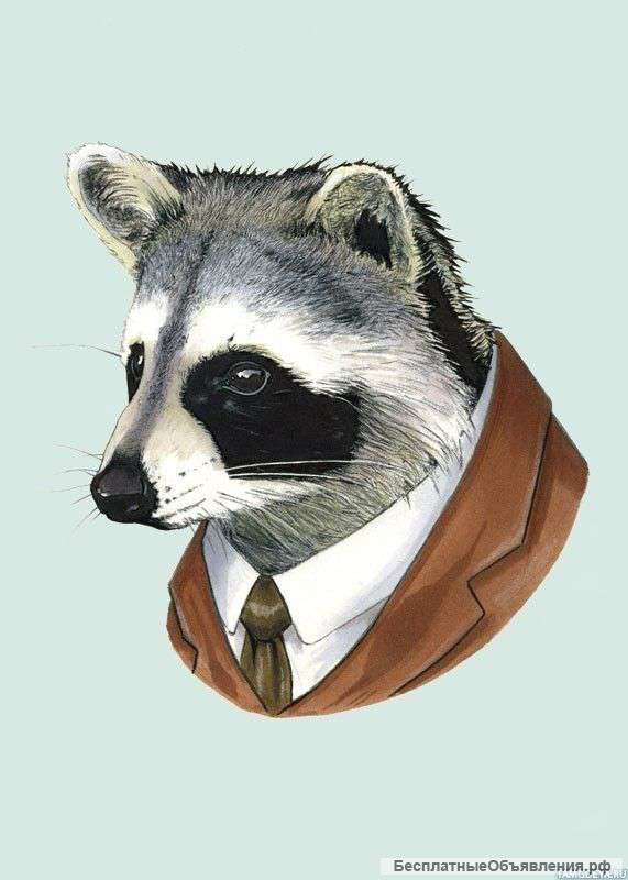 Нулевая отчетность